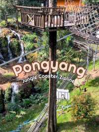 Pongyang junkle coaster zipline