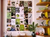 แดดออก คาเฟ่ - Specialty Matcha นครศรีธรรมราช