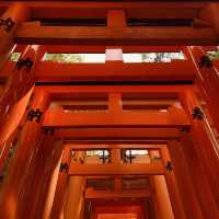 🕊️ Byōdō-in Summer Survival Guide