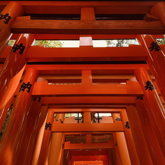 🕊️ Byōdō-in Summer Survival Guide