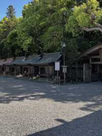 【神々の道をたどる旅🌌】宗像大社で日本古来の信仰に触れる