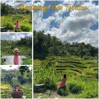 Discover paradise @ Bali🇮🇩