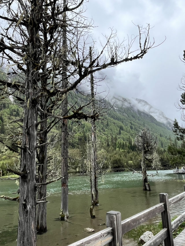 Everything You Need to Know for Visiting Shuangqiaogou at Mount Siguniang