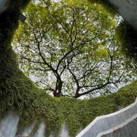 Fort Canning Park