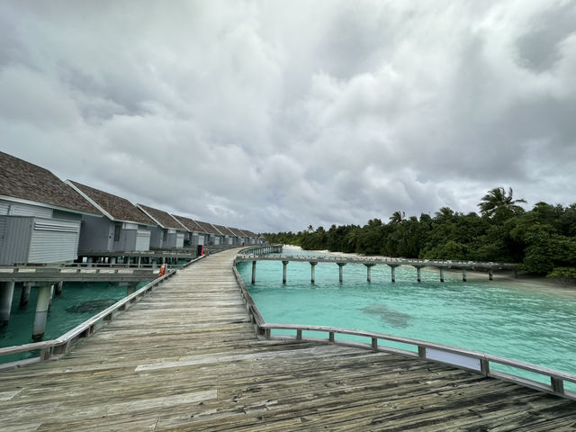  #Maldives➖Views That Feel Like a Dream 🌊