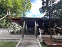 The Baristro