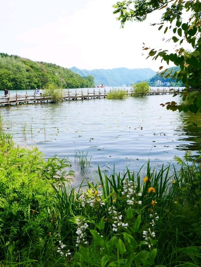 Chill Walks & Lake Vibes