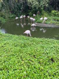 ｜台灣｜台北市立動物園-動物世界探險