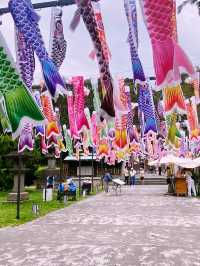 桃園神社⛩️-鯉魚旗