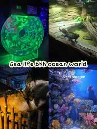Sea Life Bangkok Ocean World ต้องมาให้ได้!