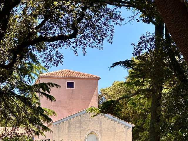 Revisiting Krk: My "Golden Island" Mediterranean Paradise! ☀️🏝️