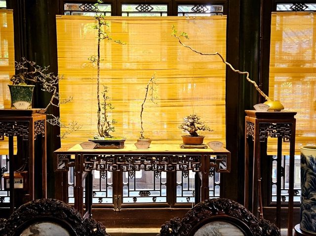 How can I not love such a beautiful garden in Suzhou?