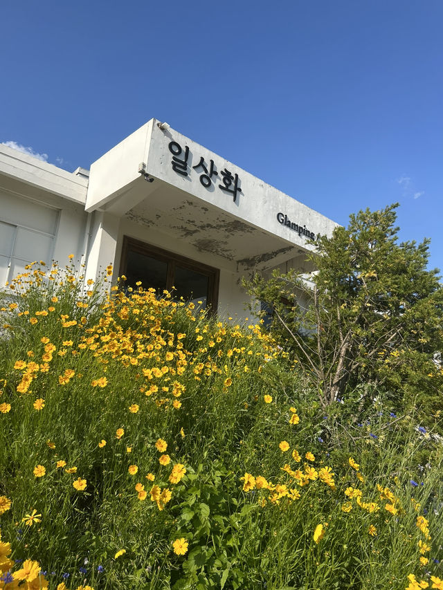 🌿 자연 속 일상의 작은 꽃, 일상화카페
