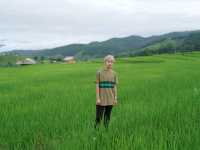 นาขั้นบันได บ้านป่าบงเปียง