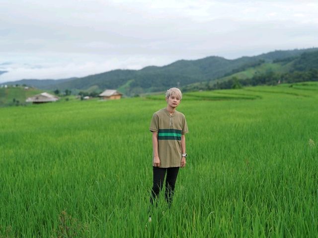 นาขั้นบันได บ้านป่าบงเปียง