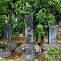 Zoshigaya Cemetery (Toshima)