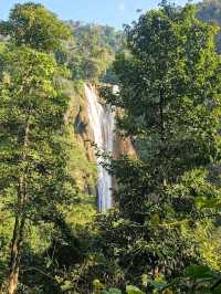 Jungle Escape and Waterfall Magic