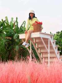 Move to Mountain Garden Cafe