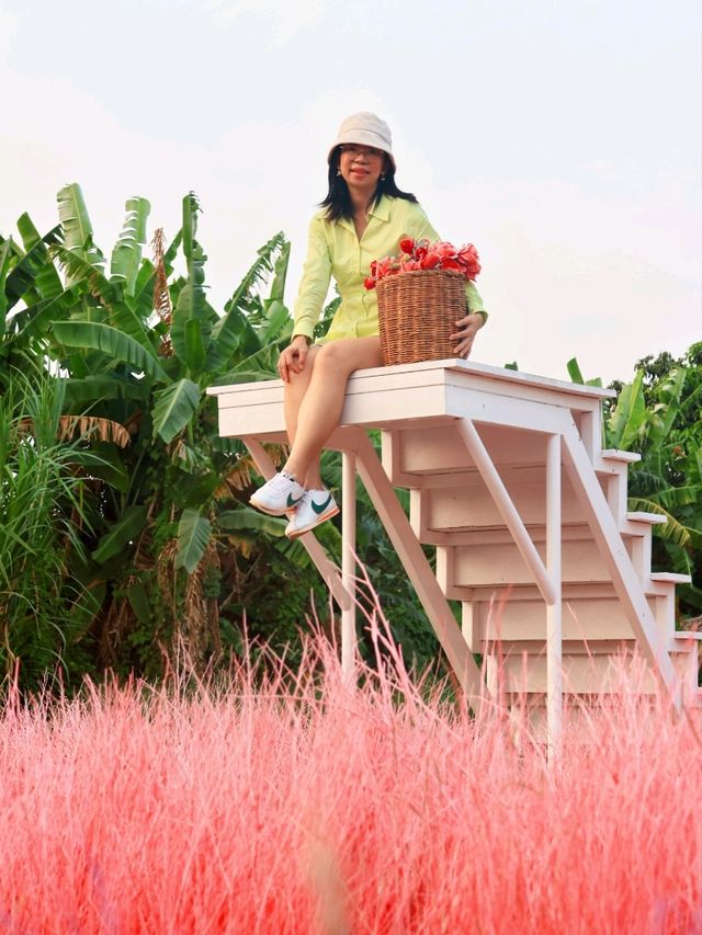 Move to Mountain Garden Cafe