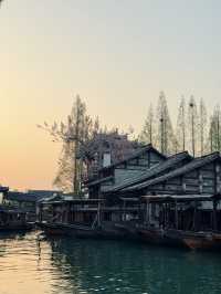 🇨🇳 Golden Hour Magic in Wuzhen ✨
