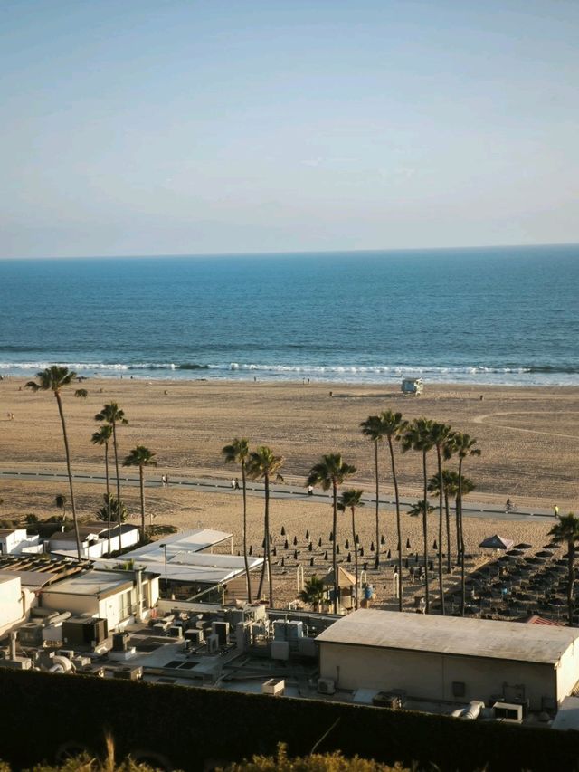 Beach 🏖️
