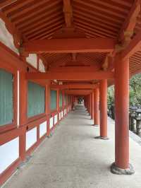 春日大社：在奈良感受神社的靈氣，探訪自然與文化的和諧交融！