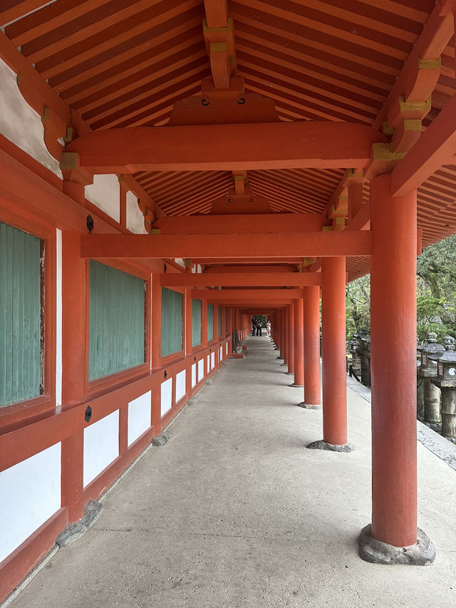 春日大社：在奈良感受神社的靈氣，探訪自然與文化的和諧交融！