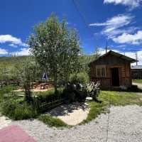 🐟 Litang Highland Fish Restaurant – A Cozy Pit Stop in the Sky