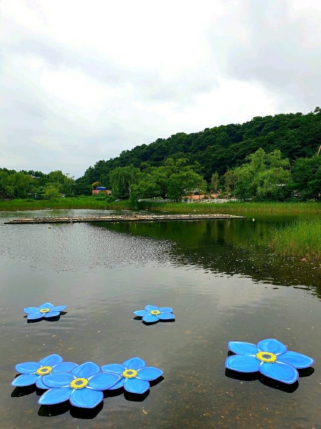 일상의 정원이 인생의 정원으로, 서울 국제정원박람회