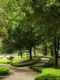 Taman Jepun Ipoh – A Hidden Japanese-Inspired Gem in the City