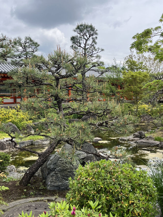 🏛️🌸📜 Kyoto National Museum – Where Time Speaks in Brushstrokes