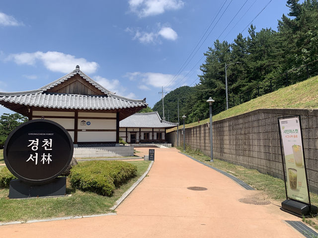 🪵 한옥 속 책방에서 머문 오후 — 경천서림
