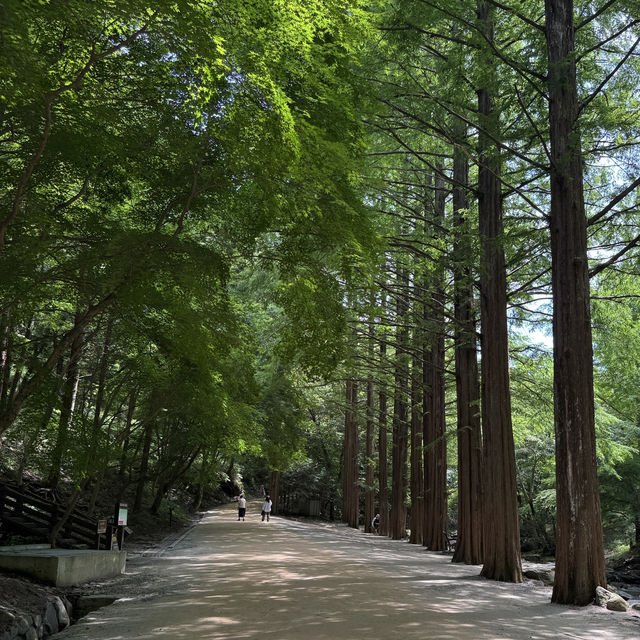 전북 순창 가볼만한곳 강천산군립공원