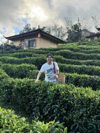 "Charming Stilt Houses & Tea Views – Lee Wine Ruk Thai Experience”