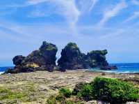 感受離島之美～蘭嶼看海賞岩石