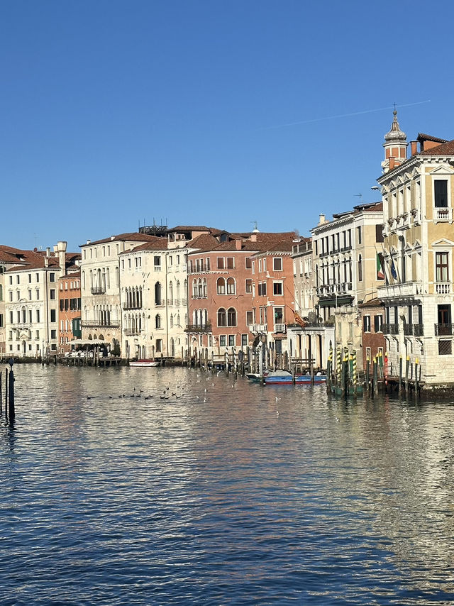 Rialto: Where Venice’s Soul Crosses The Grand Canal