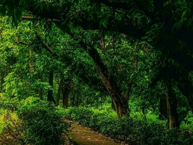 National Botanical Garden, Dhaka: A Calm Green Escape 