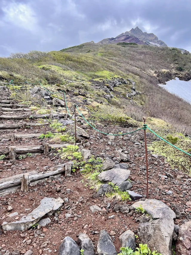 【北海道利尻島】北の最果て利尻山⛰️