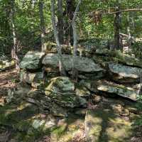 Keystone Ancient Forest – Sand Springs, OK