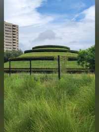 Houston Museum District
