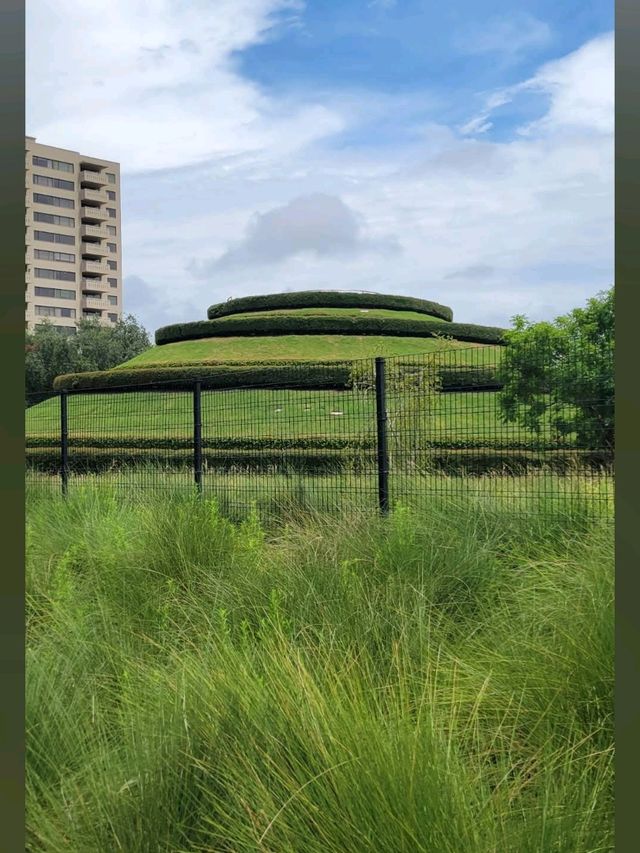 Houston Museum District