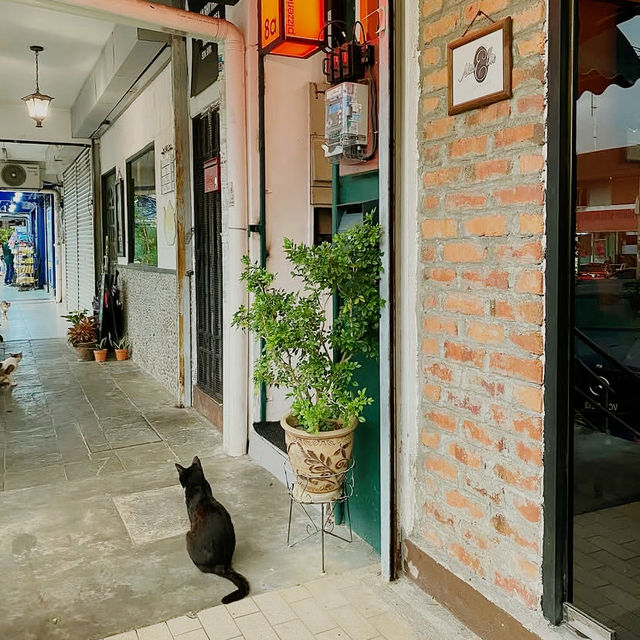 Stone-Fired Flavor and Urban Soul