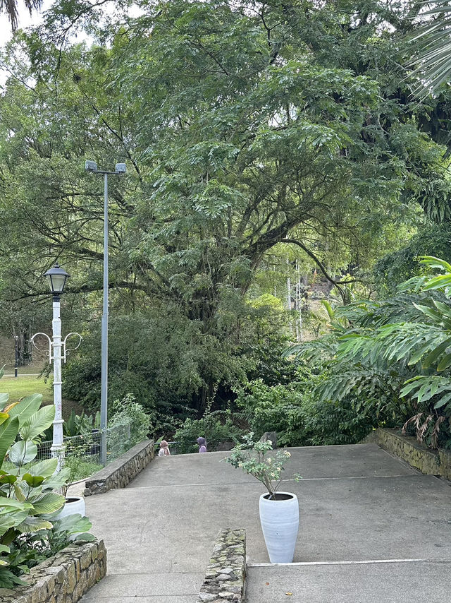 Leaves, Legends & Life Advice – The Herb Garden Experience