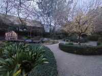 🪴The Beautiful Garden🪴