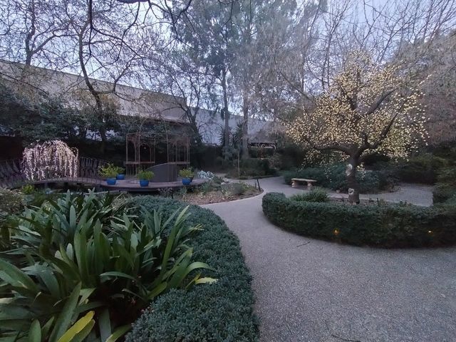 🪴The Beautiful Garden🪴