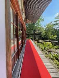 【群馬】映えスポット多数！群馬を代表する花寺