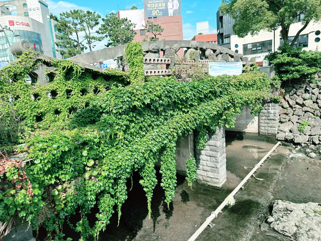 ❤️ 아이 러브 산지천