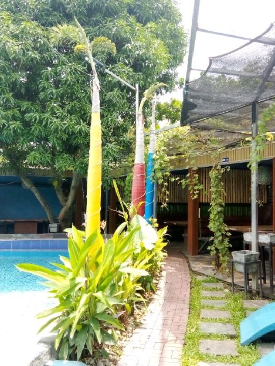Antipolo Chronicles 