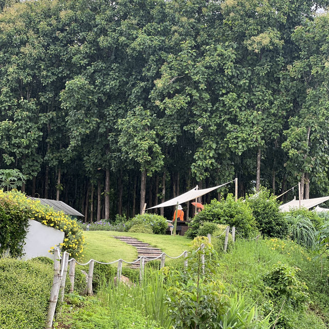 🌿 TATA Chiang Dao Cafe, Restaurant & Farm 