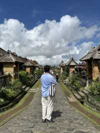 Desa penglipuran🌴🌾